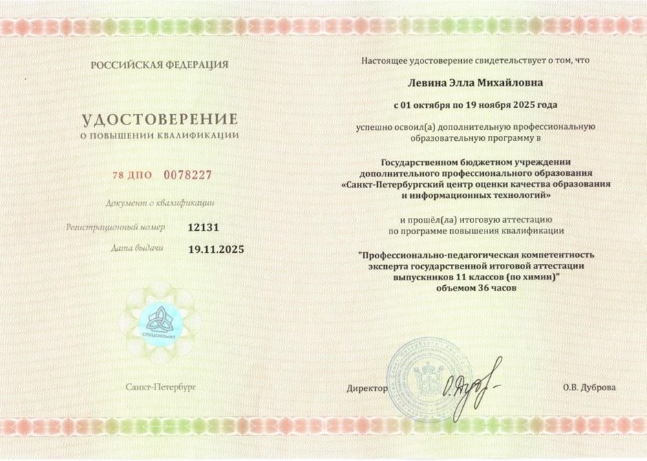 Левина Элла Михайловна 2025-2026
